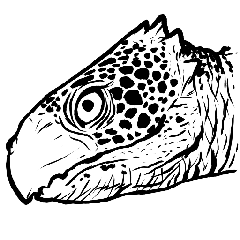 Archelon