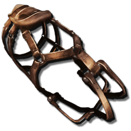 Tusoteuthis Saddle