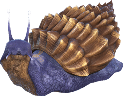 Achatina