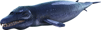 Basilosaurus