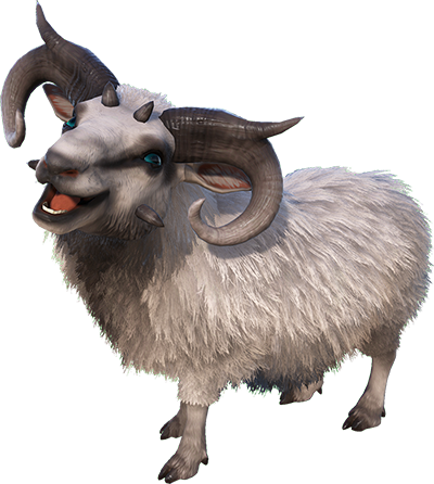 Ovis