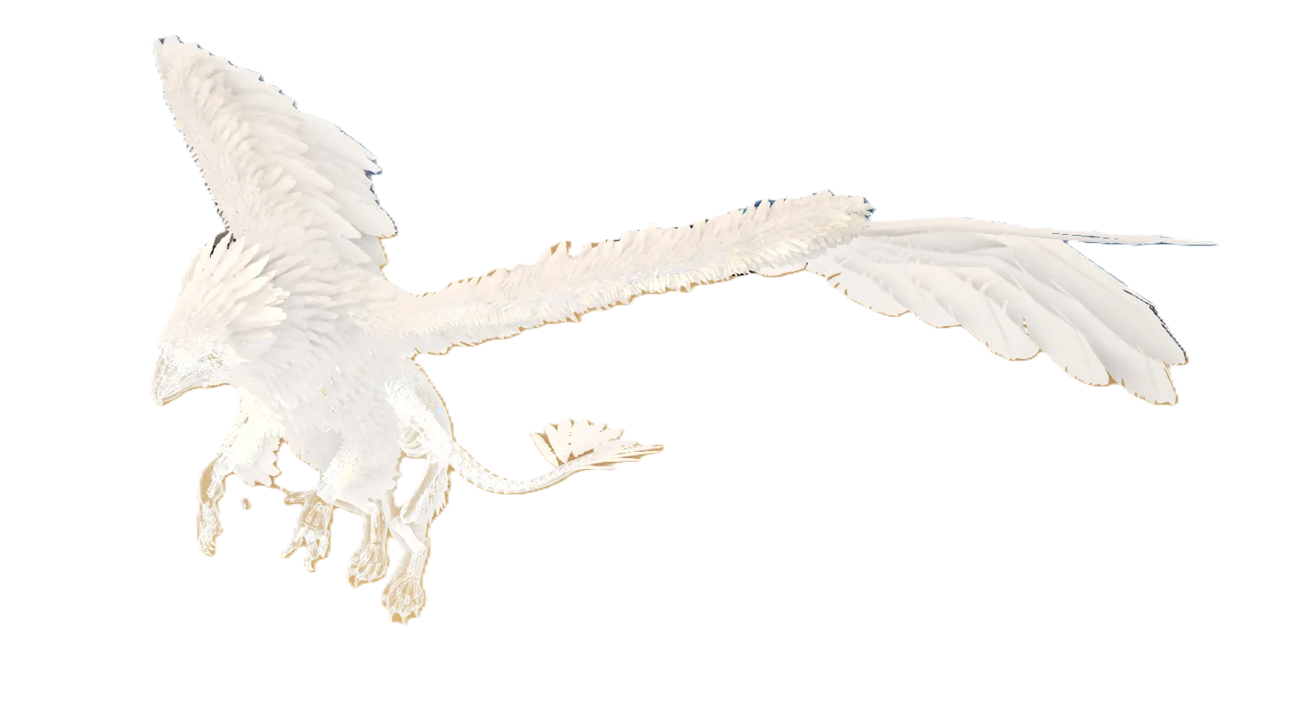 Spirit Griffin