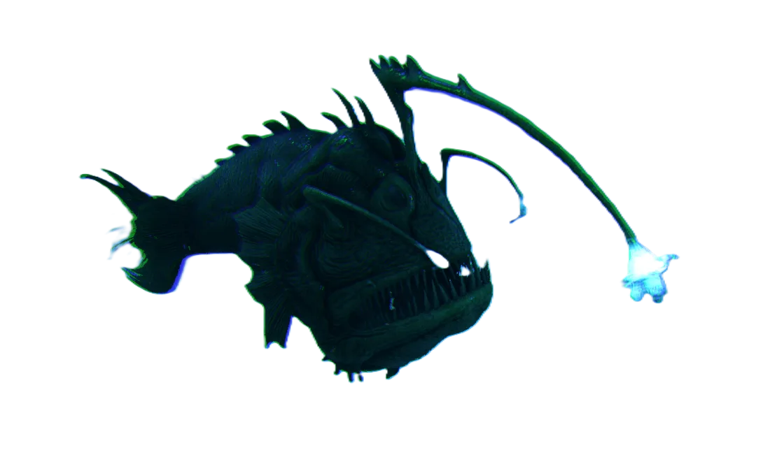 Anglerfish