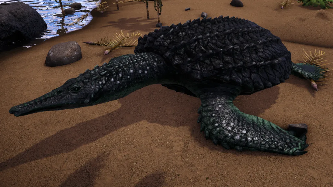 Ocepechelon